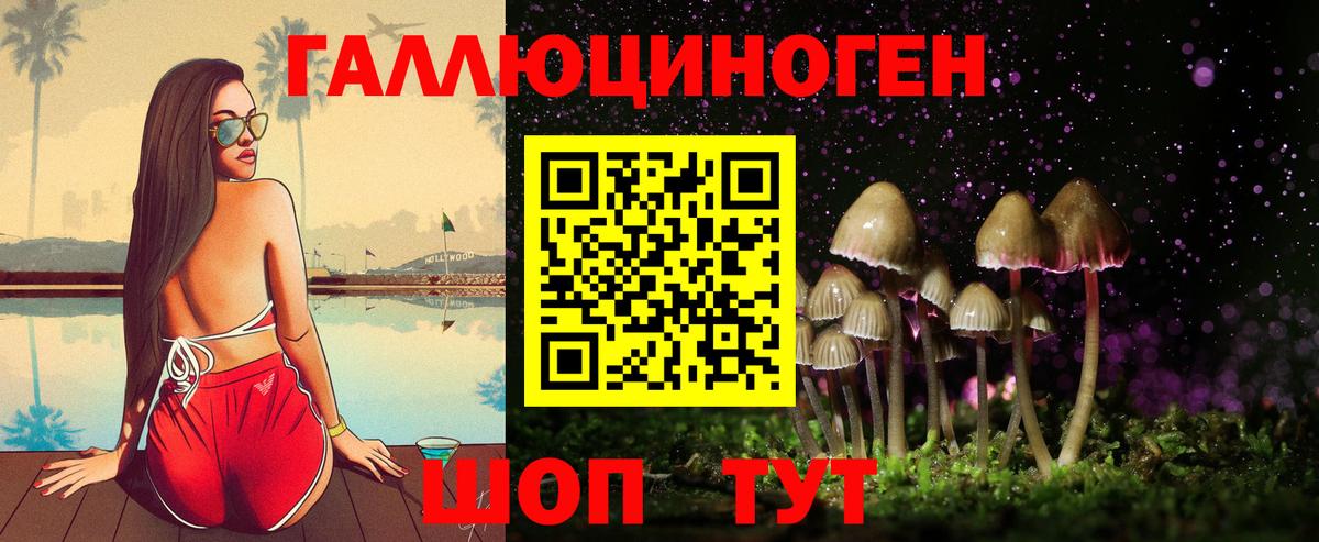Армавир  Галлюциногенные грибы прущие грибы  наркотики  Вход с VPN  Псилоцибиновые грибы мицелий 